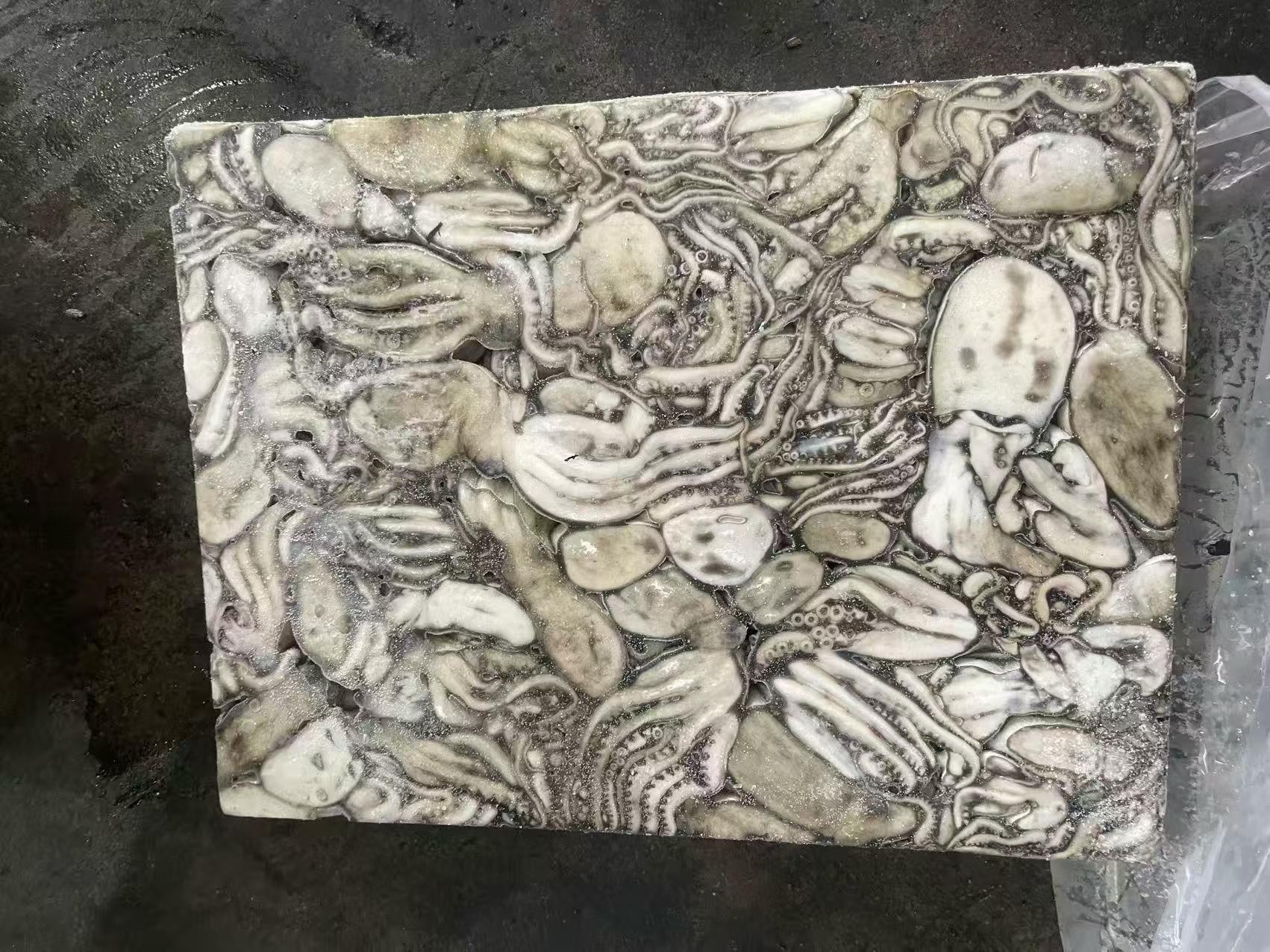 章鱼