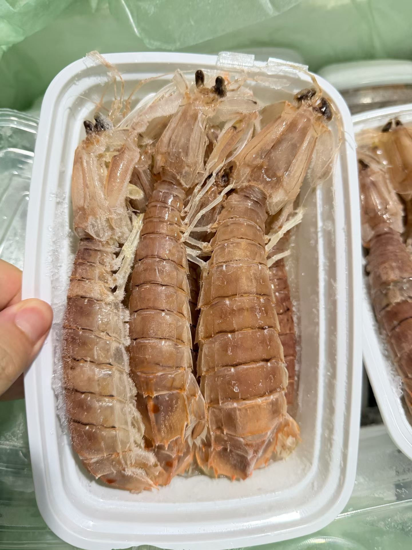 熟冻皮皮虾